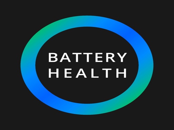 Do you know the Lithium battery state of health assessment model?