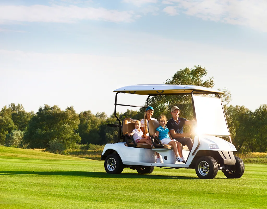 24 Volt Lithium Golf Cart Battery The Guide for New Owners